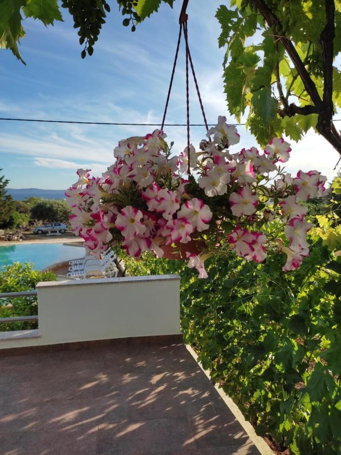 Apartments Goran Vir Εξωτερικό φωτογραφία